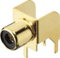 Produktbild: Monacor T-709G Cinch-Einbaubuchse