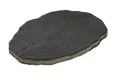Produktbild: Diephaus Terrassenplatte STEPPIO TRITTPLATTE ANTHRAZIT 48/36/3 CM