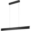 Produktbild: Helestra Led-Hängeleuchte Nex, Schwarz, Metall, 4.5x200x111 cm, Lampen & Leuchten, Innenbeleuchtung, Leuchten nach Räumen, Esstischlampen