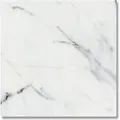 Produktbild: Musterfliese Belvit Genova Marmor Glanz 60x60cm