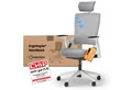 Produktbild: Ergotopia Bürostuhl ergonomischer Schreibtischstuhl NextBack, Drehstuhl mit 3D Armlehnen & verstellbarer Kopfstütze