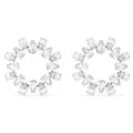 Produktbild: Paar Ohrstecker SWAROVSKI 