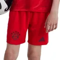Produktbild: adidas Bayern München Shorts Rot Jungen 24/25, rot, 15-16 Jahre