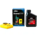 Produktbild: Briggs & Stratton Engine Care (BS-992231)