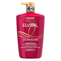 Produktbild: L'Oréal Paris Elvital XXL Farbschutz Shampoo für coloriertes, getöntes oder gest