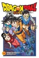 Produktbild: Akira Toriyama Dragon Ball Super, Vol. 19 (Taschenbuch) (US IMPORT)