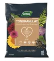 Produktbild: Westland Tongranulat, 3 Liter - Pflanzgranulat ideal für Hydrokultur, Drainage Substrat ohne chemische Zusätze, für Innen und Außenbereich