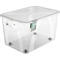 Produktbild: Aufbewahrungsbox Lona Mit Rollen Und Deckel 50 L Transparent Aufbewahrungsbox - Rotho