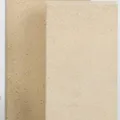 Produktbild: Firefix Schamottestein 250x124x64 mm