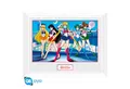 Produktbild: ABYstyle Poster SAILOR MOON - Framed print Group (white frame)