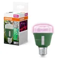Produktbild: Osram LED Star Grow Lampe T60 10W E27 weiß/violett/blau Pflanzenlampe Schalter