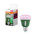 Produktbild: OSRAM LED Star Grow Lampe 10W E27 Klar Weiß Pflanzenlicht