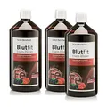 Produktbild: Sanct Bernhard Blutfit Eisen-Elixier 3x 1000 ml | Eisen Hochdosiert | Mit Vitamin C und B-Vitaminen | Für Blutbildung bei Eisenmangel, Energiestoffwechsel und Immunsystem | Made in Germany