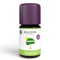 Produktbild: Baldini Teebaumöl – 100 % naturreines ätherisches Teebaumöl – Ideal für Hautpflege, Raumbeduftung & Aromatherapie – 10 ml