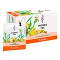 Produktbild: Ingwer TEE Filterbeutel
