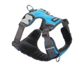 Produktbild: Red Dingo Geschirr, Hundegeschirr Red Dingo Polsterung Turquoise XS