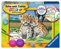 Produktbild: Ravensburger Malen nach Zahlen Ravensburger Malen nach Zahlen Classic Serie D Kleine Leoparden 28486