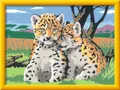Produktbild: Ravensburger Verlag GmbH Malen nach Zahlen Ravensburger Malen nach Zahlen Kleine Leoparden 24x18cm