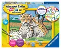 Produktbild: Ravensburger Malen nach Zahlen 28486 - Kleine Leoparden - Für Kinder ab 9 Jahren