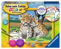 Produktbild: Ravensburger Malen nach Zahlen Classic Serie D Kleine Leoparden 28486