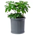 Produktbild: Pflanzkübel Halbrund grau