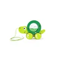 Produktbild: Hape Nachziehschildkröte Tito