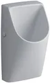 Produktbild: Keramag Urinal Renova Nr. 1 Plan wasserlos weiß(alpin), 235170000