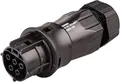 Produktbild: Wieland Steckverbinder RST20I5S S1 ZR1 V SW, Stecker, 6-10 mm, schwarz (96.052.4053.1)