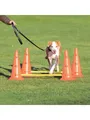 Produktbild: Trixie Hundetraining Pylon-Hindernisset (4 Pylonen - 2 Stangen)