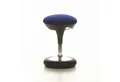 Produktbild: TOPSTAR Stehhilfe SITNESS 20 Arbeitshocker Stoff Höhe 44.0 - 54.0 cm, Fitness-Hocker höhenverstellbar, bewegliche Sitzfläche