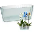 Produktbild: Orchideentopf TRIOLA glas