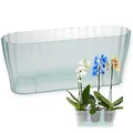 Produktbild: Orchideentopf Triola Glas