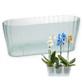 Produktbild: GarPet Blumentopf Orchideentopf Blumen Kasten Übertopf für mehrere Pflanzen durchsichtig