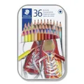 Produktbild: STAEDTLER® 175 Buntstift, Metalletui mit 36 Buntstiften in sortierten Farben