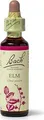 Produktbild: BACHBLÜTEN Elm Tropfen 20 ml