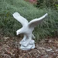 Produktbild: Adler Steinadler Vogel  Steinfigur H.32 cm Grau 5 kg Weißbeton frostsicher