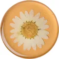 Produktbild: PopSockets Pressed Flower Daisy (801476)