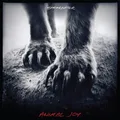 Produktbild: Shearwater Animal Joy LP Vinyl SP957 Neu