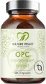 Produktbild: Nature Heart OPC Traubenkern Extrakt