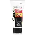 Produktbild: Delia Cosmetics Cameleo Keratin Conditioner für coloriertes Haar 200ml