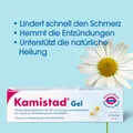 Produktbild: KAMISTAD Gel 20 g PZN 03927039