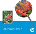 Produktbild: HP 305XL - 6.45 ml - Hohe Ergiebigkeit - pigmentiertes Schwarz - Original - Tintenpatrone - für Deskjet 1255, 27XX, DeskJet Plus 41XX, Envy 60XX, ENVY Pro 64XX