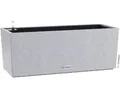 Produktbild: Balkonkasten Lechuza Balconera Color Kunststoff 50 x 19 x 19 cm grau inkl. Erdbe