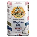 Produktbild: FARINA CAPUTO MANITOBA 
