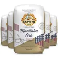 Produktbild: Manitoba Oro Caputo Mehl Typ 0 / 5 kg (5 x 1 kg) - Das Nummer 1 Mehl in Italien