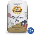 Produktbild: 10x Multipack Caputo Farina Manitoba Oro 00 1 Kg