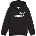 Produktbild: Kapuzenpullover PUMA 