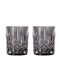 Produktbild: NACHTMANN 104245 NOBLESSE Whisky Tumbler SMOKE 2er Set