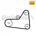 Produktbild: Keilrippenriemensatz CONTINENTAL CTAM 6PK1070K1 für VW CC