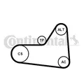 Produktbild: CONTINENTAL CTAM (6PK1070K1) Keilrippenriemensatz für AUDI SEAT SKODA VW